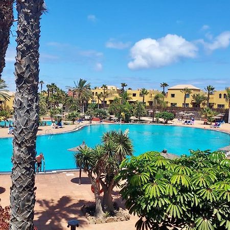 Tamarindo 41, Big Pool,Next To The Dunes. Corralejo Eksteriør bilde